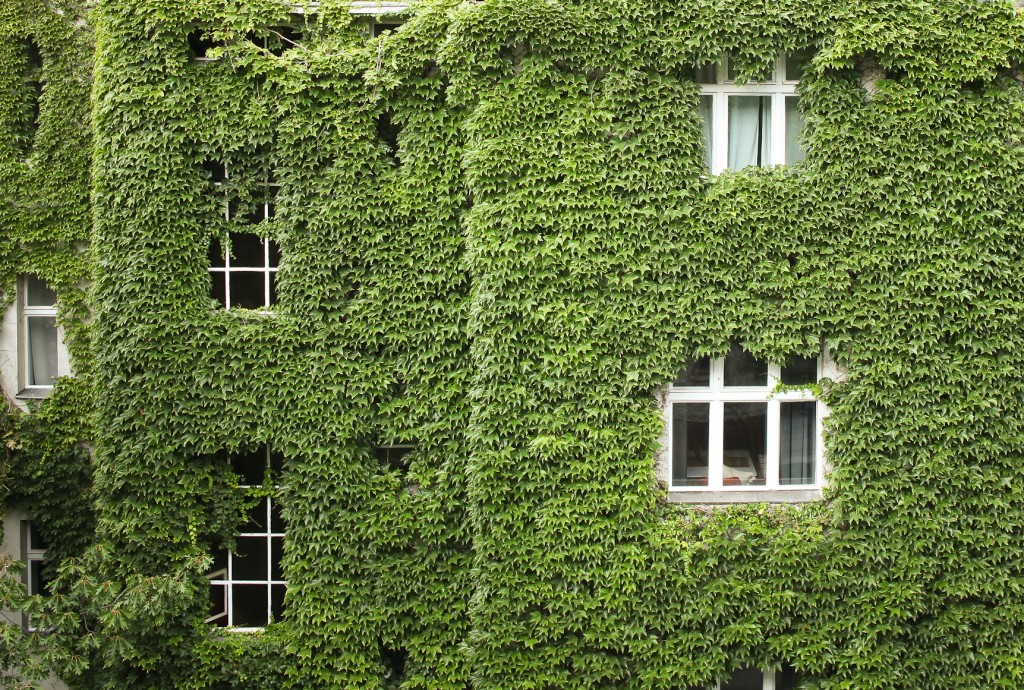 green facade in Kreuzberg - berlininfo guided tours